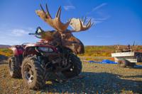Hunter Trophy